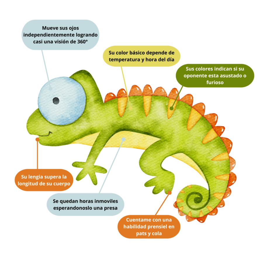 Affinitit y las fortalezas